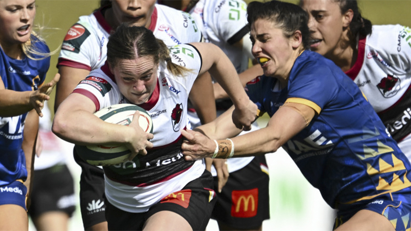 800X450 0004 Skyo 2024.08.25 Farahpalmercup